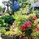 Appartement Renata Mare