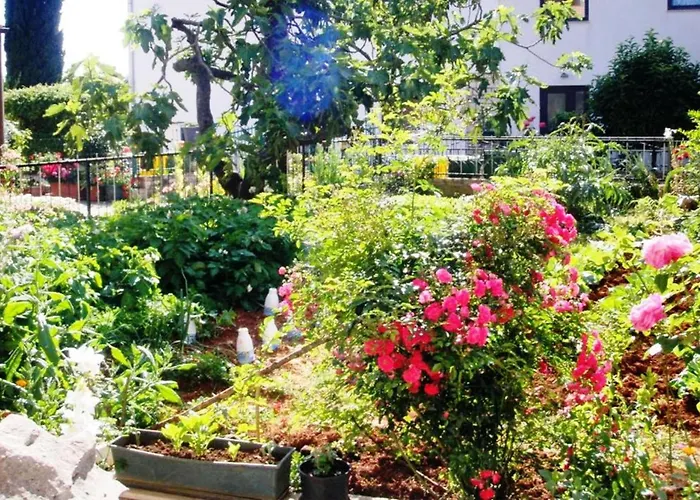 Apartman Renata Mare