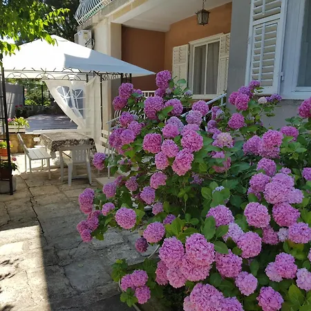 Renata Mare Rovinj